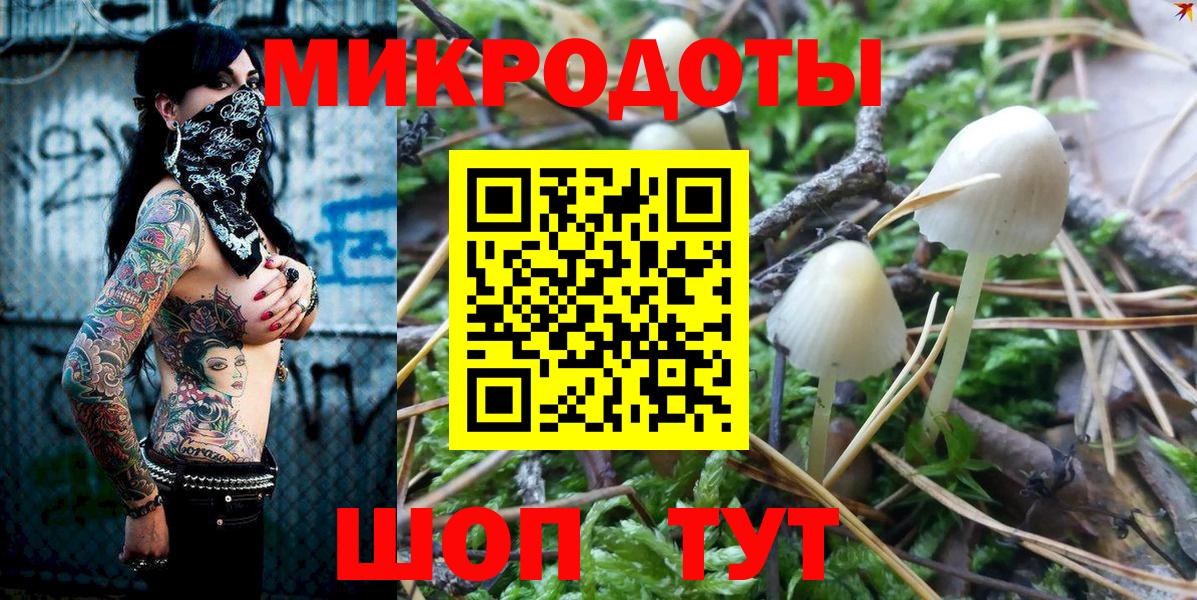 Галлюциногенные грибы Psilocybe  купить  сайты  Тында  Вход с VPN 