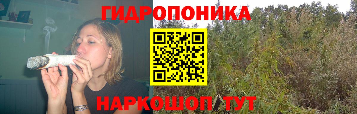 Бошки Шишки планчик  Каннабис THC 21%  Вход с VPN  Конопля Bruce Banner  Тында 